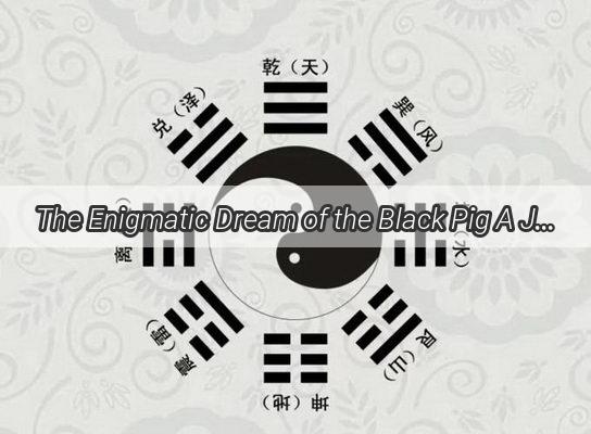 The Enigmatic Dream of the Black Pig A Journey into the Mysteries of the Night